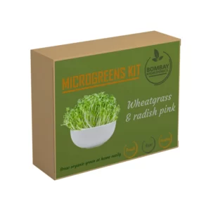 Microgreens Kit – Wheatgrass and Radish pink